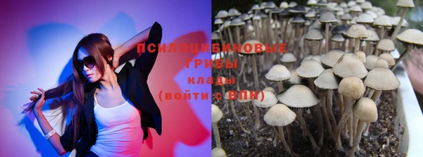 кокаин колумбия Алексин