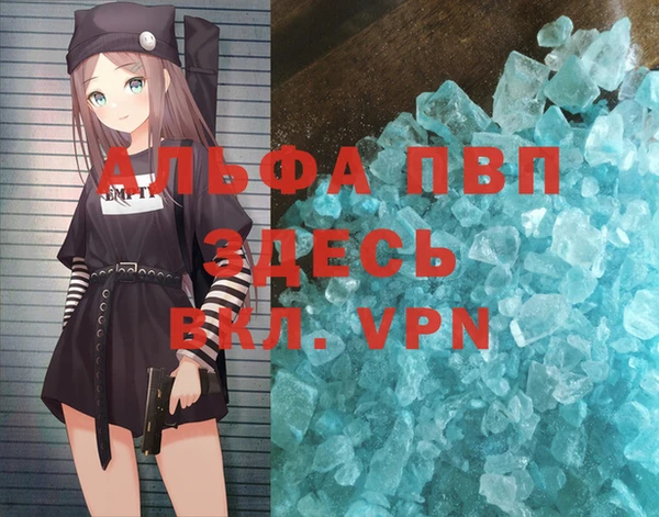дмт Абаза