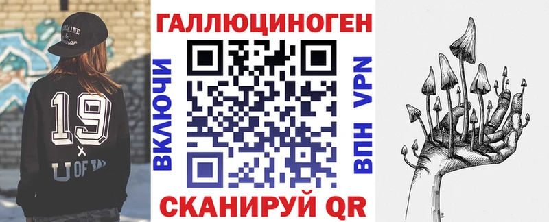 где купить наркотик  Курчатов  Псилоцибиновые грибы Cubensis 