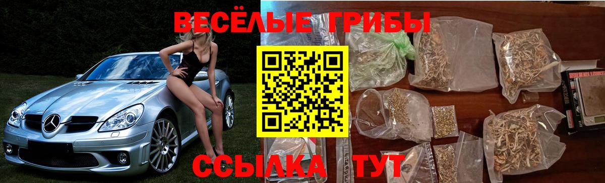 Галлюциногенные грибы Magic Shrooms  Вход с VPN  купить наркоту  Курчатов 