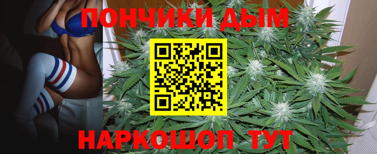 Бошки марихуана сатива  Вход с VPN  Курчатов  Каннабис VHQ  Шишки марихуана MAZAR  Конопля ГИДРОПОН 